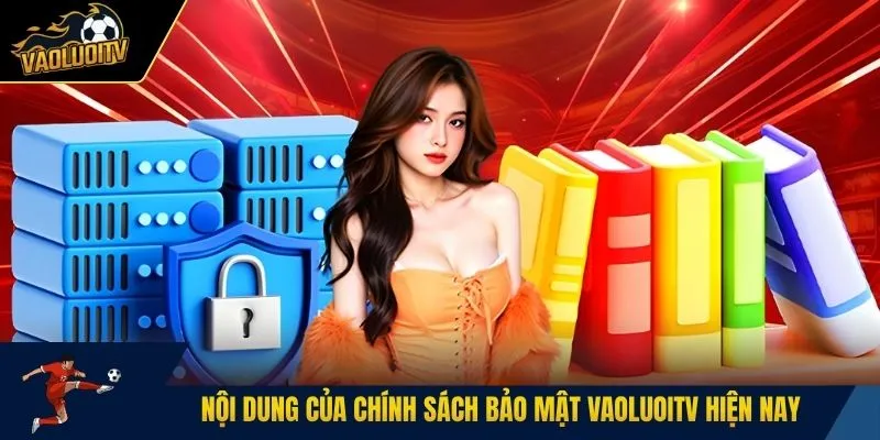 Nội dung của chính sách bảo mật vaoluoitv hiện nay